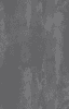 Tapete R&C Forum XII 2029 21015096 10,05 x 0,53 m - More 1