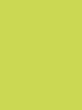 25519 BS HPL Platten 0,8mm Lime Grass 3.050x1.350 Kaindl  - More 1