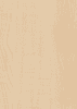 3375 BS MDF Dekor 8,0 mm Ahorn 2.800x2.070 Kaindl , CA, E1, D-s2, d0 - More 1