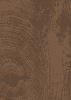 K5413 RO Dekorspan 19,0 mm Eiche ENDgrain Cognac 2.800x2.070 Kaindl , P2CA, E1, D-s2, d0 - More 1