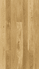 Parkett Limfjord Basic Eiche,1-Stab LHD,gebürstet Family+ 2200x180x14/2,5mm natur geölt,Microfase - More 1
