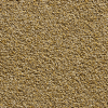 Textil-Belag Spektrum 2026 Nevada TR 59Nd24 400 cm - More 1