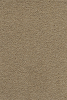 Textil-Belag Spektrum 2026 Perla CR 59Pe24 400 cm - More 1