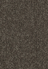 Textil-Belag Sauberlauf Coral Classic 62Sc05 Stärke 9 mm, 205 cm Breite, Farbe 4763 - ruby red - More 1