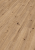 Designbelag MeisterDesign.pro DD200, Dekor 6843 Feldeiche hell, 1295x219x2mm, VE=4,25m² - More 1