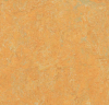 Linoleum Elastica 2026 Marmoleum Fresco 62Fr02 200cm; 2,5mm / Fb.3847 - More 1
