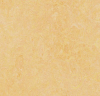 Linoleum Elastica 2026 Marmoleum Fresco 62Fr03 200cm; 2,5mm / Fb.3846 - More 1