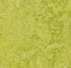 Linoleum Elastica 2016 Marmoleum Real 62Re16 200cm Breite Stärke 2,5mm Fb.3224 - More 1