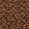 Sauberlauf Largos 11.03 braun, Bahnenware 200 cm #picobello - More 1