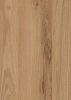 K2821 AN MDF Dekor 8,0 mm Eiche Vendela Canoa 2.070x2800 Kaindl CA, E1D-s2, d0 - More 1