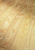 Hobeldiele Red-Pine roh 22x144mm - 4,88m längsseitig N+F, SELECT-Sort., zu 4 Stück foliert - More 1