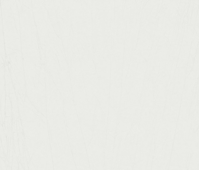 Tapete DIE PATENTEN FÜNF #2206 0419 / 2030
