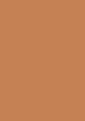 22867 MN HPL Platten 0,8 mm Curry Rot