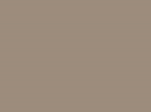 REHAU ABS Kante #84016191001   2x23mm   50mtr.