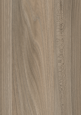 K5278 AW HPL Platten 0,8mm Ulme Sangallo Evergl.