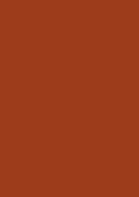 2098 MN Dekorspan 19,0 mm Ceramic Red