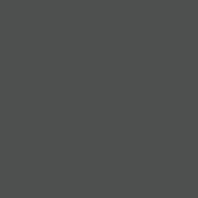 2166 PE Dekorspan 19,0 mm Basalt