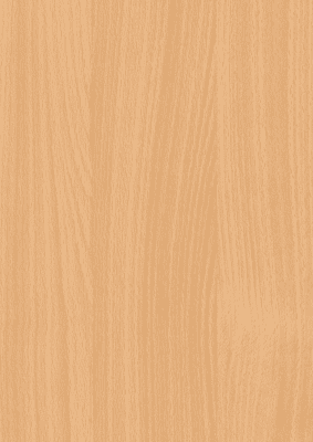 3391 BS Dekorspan 25,0 mm Buche