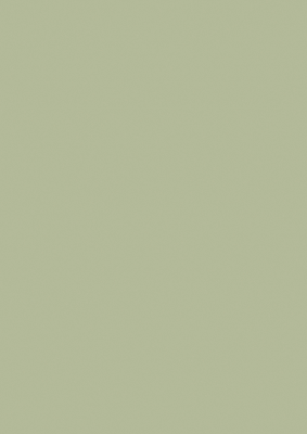 22458 MN HPL Platten 0,8mm Avocado Grün