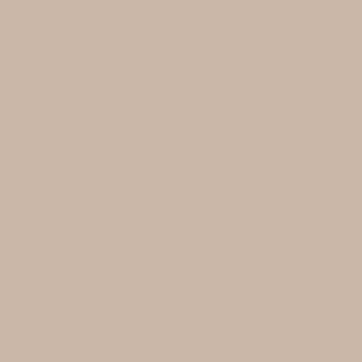 Rehau ABS Kante #84074221001   2x23mm   50mtr.