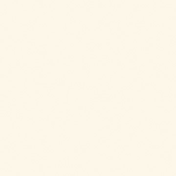 Rehau ABS Kante #84069751001   2x23mm   50mtr.