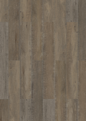 CN Lamineo Toscana 2025 Eiche Gotik LHD 4V