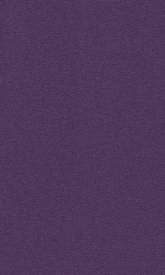 Textil-Belag Inside 2026 Berlin TS, Farbe 77VB18
