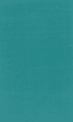 Textil-Belag Inside 2026 Berlin TS, Farbe 77VB49