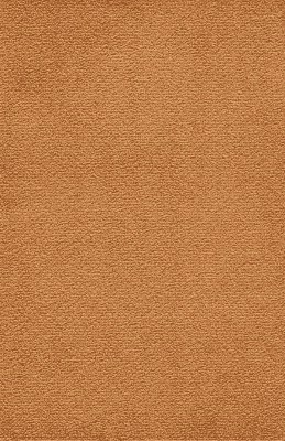 Textil-Belag Inside 2026 Florenz VR, Farbe 77VF47