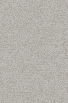 Textil-Belag Inside 2026 Paris TS, Farbe 77VP15