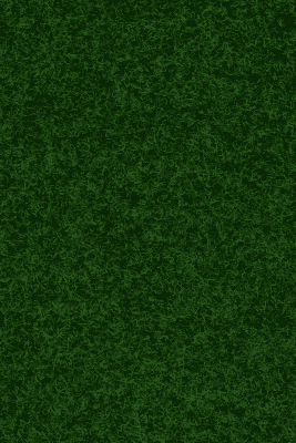 Textil-Belag Kunstrasen Polo mit Noppen