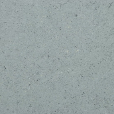 Linoleum Elastica 2026 Marmorette - Neocare