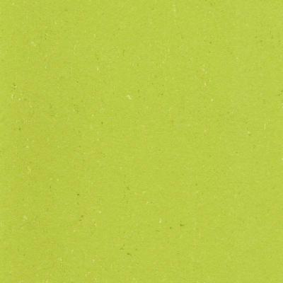 Linoleum Elastica 2026 Marmorette - Neocare