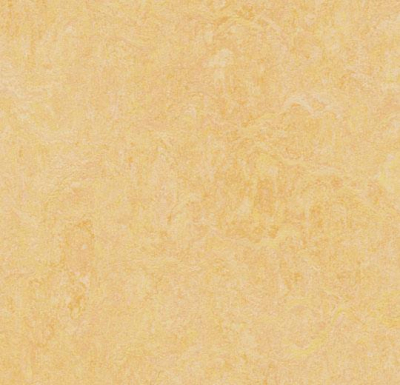 Linoleum Elastica 2026 Marmoleum Fresco-Topshield 2