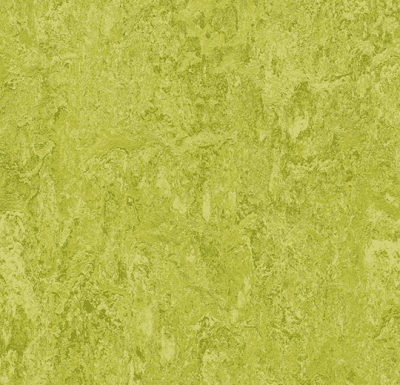 Linoleum Elastica 2026 Marmoleum Real-Topshield 2