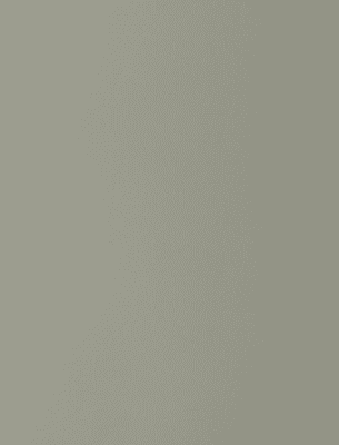 0266 SUD Allzweckpl.6mm Ash Grey, schwrz.Kern