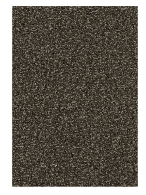 Textil-Belag Sauberlauf Coral Classic 62Sc06
