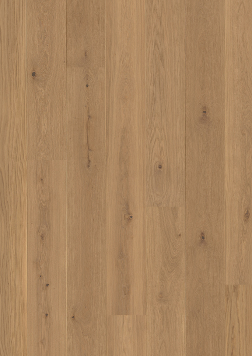 Parkett LHD Eiche Authentic Animoso gebürstet 2200x209x14/3,5mm, Live Natural geölt, 2V - Detail 1