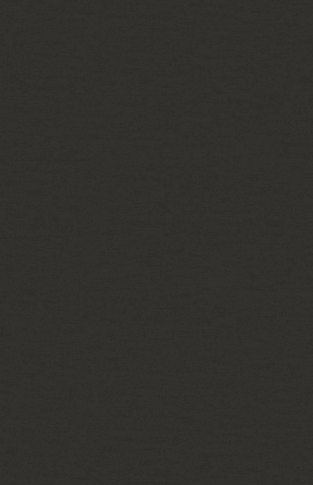 Tapete Casa Nova Uni Colours 2027 21020704 10,05 x 0,53 m - Detail 1