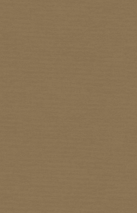 Tapete Casa Nova Uni Colours 2027 21020709 10,05 x 0,53 m - Detail 1