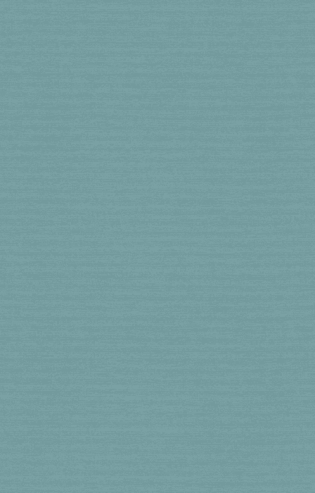 Tapete Casa Nova Uni Colours 2027 21020715 10,05 x 0,53 m - Detail 1