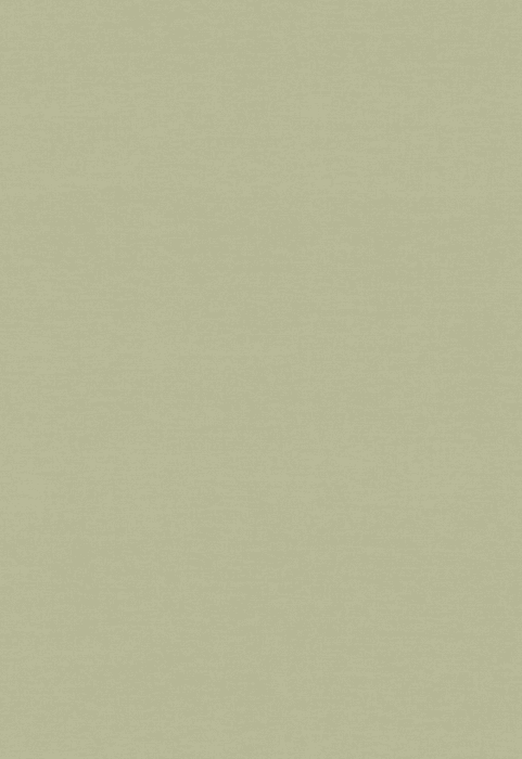 Tapete Casa Nova Uni Colours 2027 21020718 10,05 x 0,53 m - Detail 1