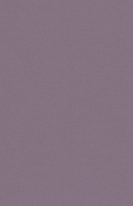 Tapete Casa Nova Uni Colours 2027 21020728 10,05 x 0,53 m - Detail 1