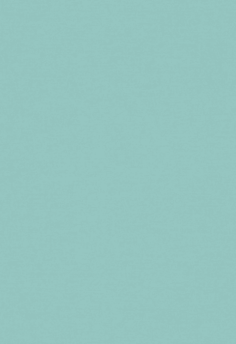 Tapete Casa Nova Uni Colours 2027 21020730 10,05 x 0,53 m - Detail 1