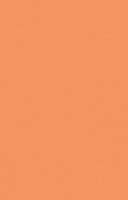 Tapete Casa Nova Uni Colours 2027 21020737 10,05 x 0,53 m - Detail 1