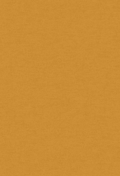 Tapete Casa Nova Uni Colours 2027 21020739 10,05 x 0,53 m - Detail 1