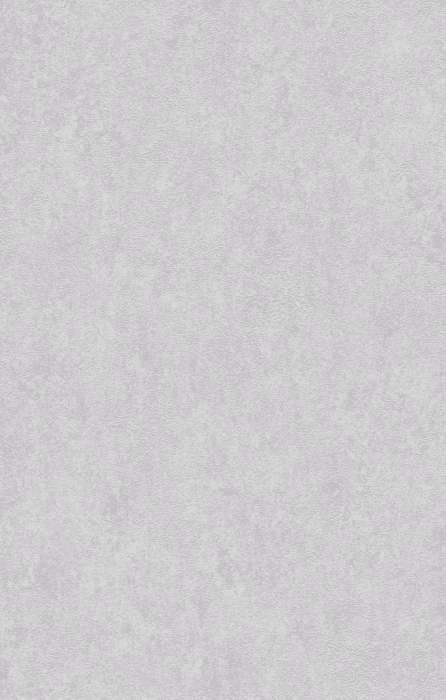 Tapete R&C Forum XI 2028 21014024 10,05 x 0,53 m - Detail 1