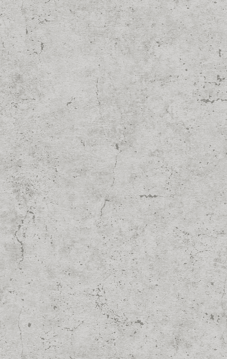 Tapete R&C Forum XI 2028 21014119 10,05 x 0,53 m - Detail 1
