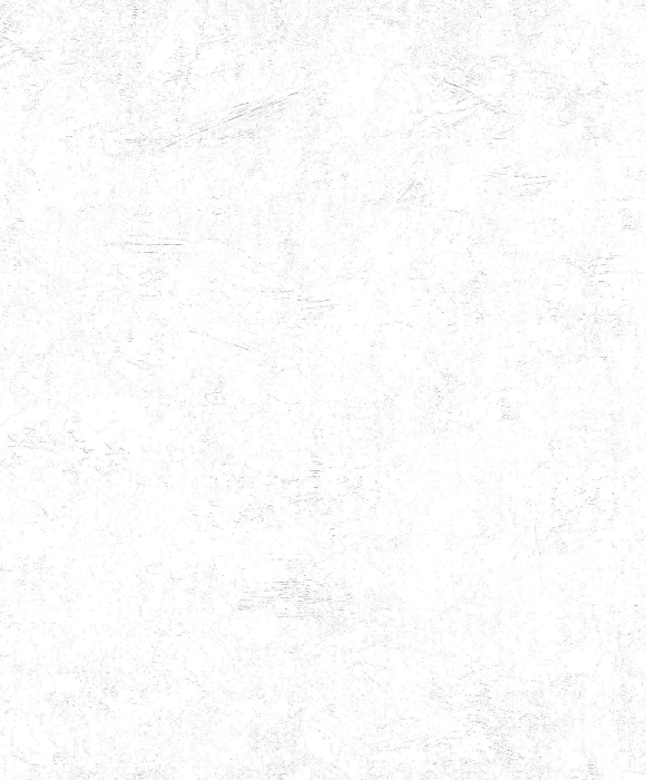 Tapete DIE PATENTEN FÜNF  2030 #2206 0492 25,00 x 0,75 m - Detail 1
