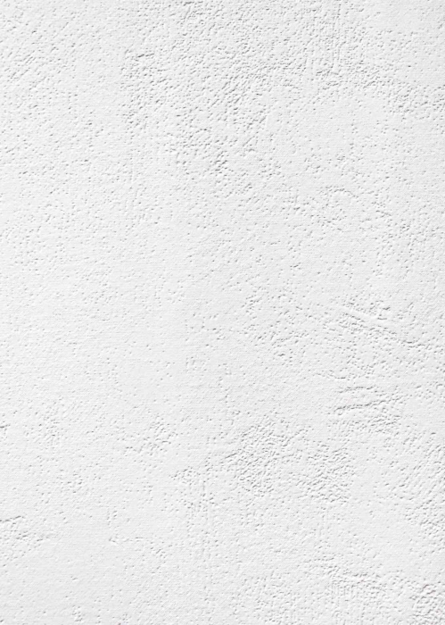 Tapete DIE PATENTEN FÜNF  2030 #2206 0494 25,00 x 0,75 m - Detail 1